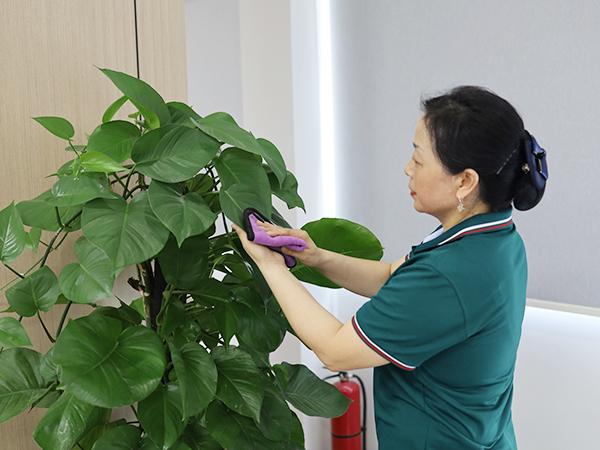 你真的了解保潔嗎？